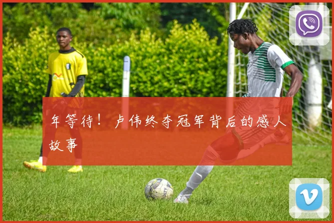 年等待！卢伟终夺冠军背后的感人故事